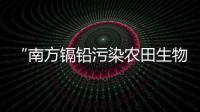 “南方镉铅污染农田生物炭基改良技术”入选农业农村部2024年农业主推技术